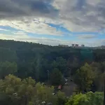 Kamyk