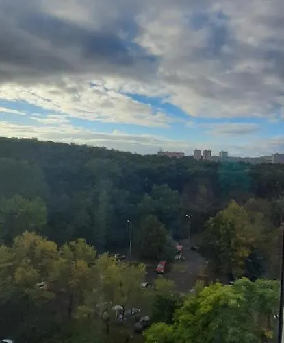 Kamyk