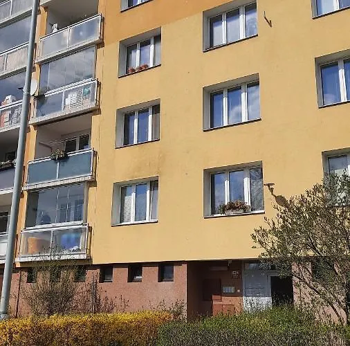 Kamyk Daire Prag